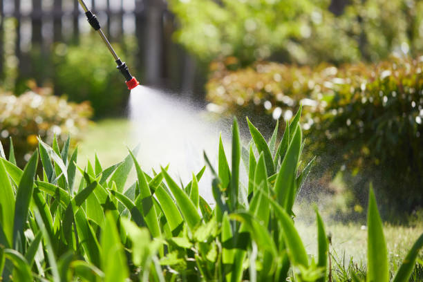 Tamper-Resistant Bait Stations for Rodents in Moline