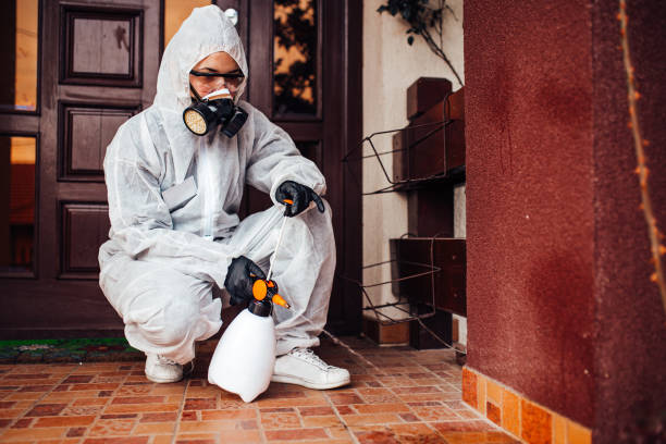 Attic and Crawl Space Rodent Treatment in Moline
